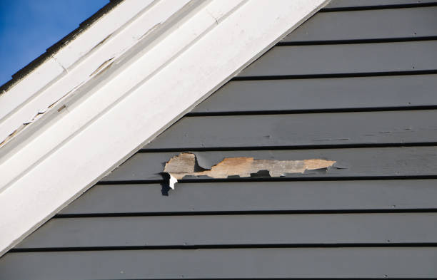 Best Storm Damage Siding Repair  in Rolla, MO